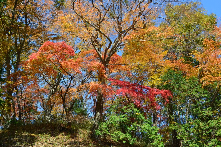 산이미지