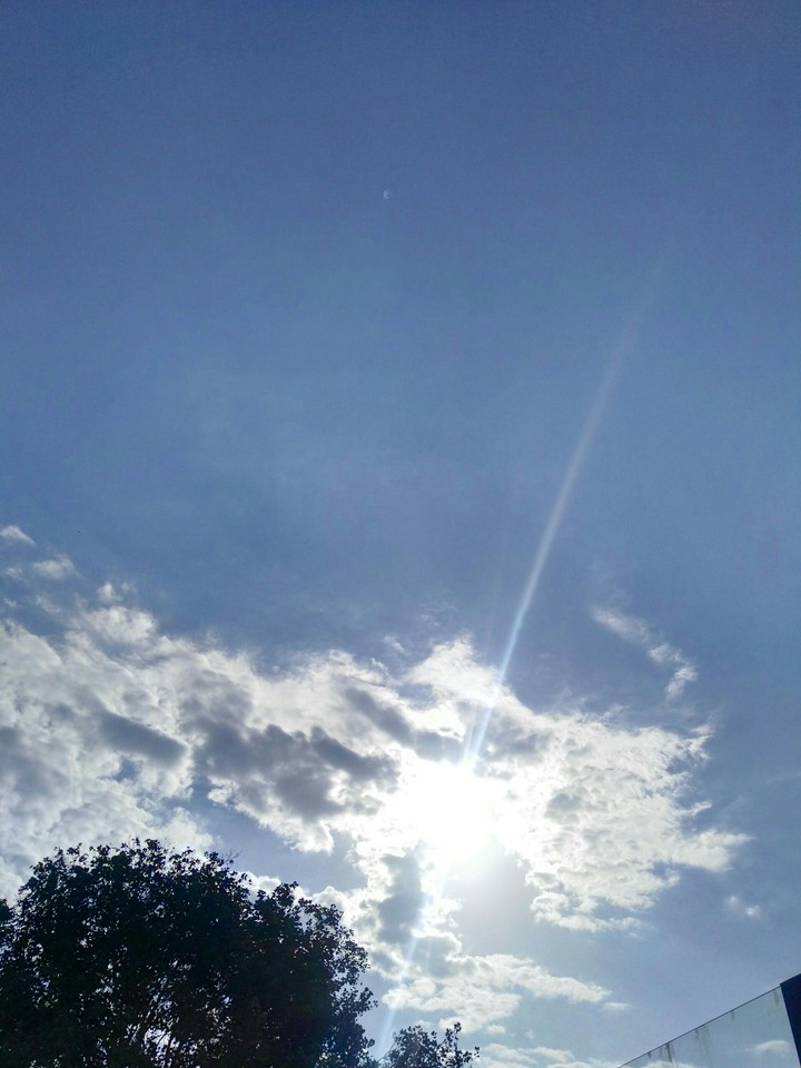 sunny