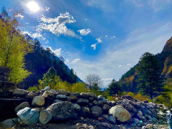Nature
