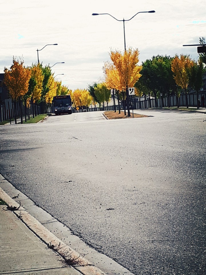 Autumn