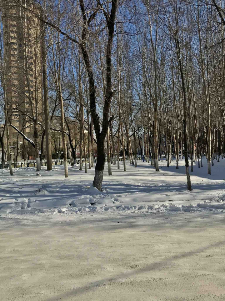 Dec. 2019