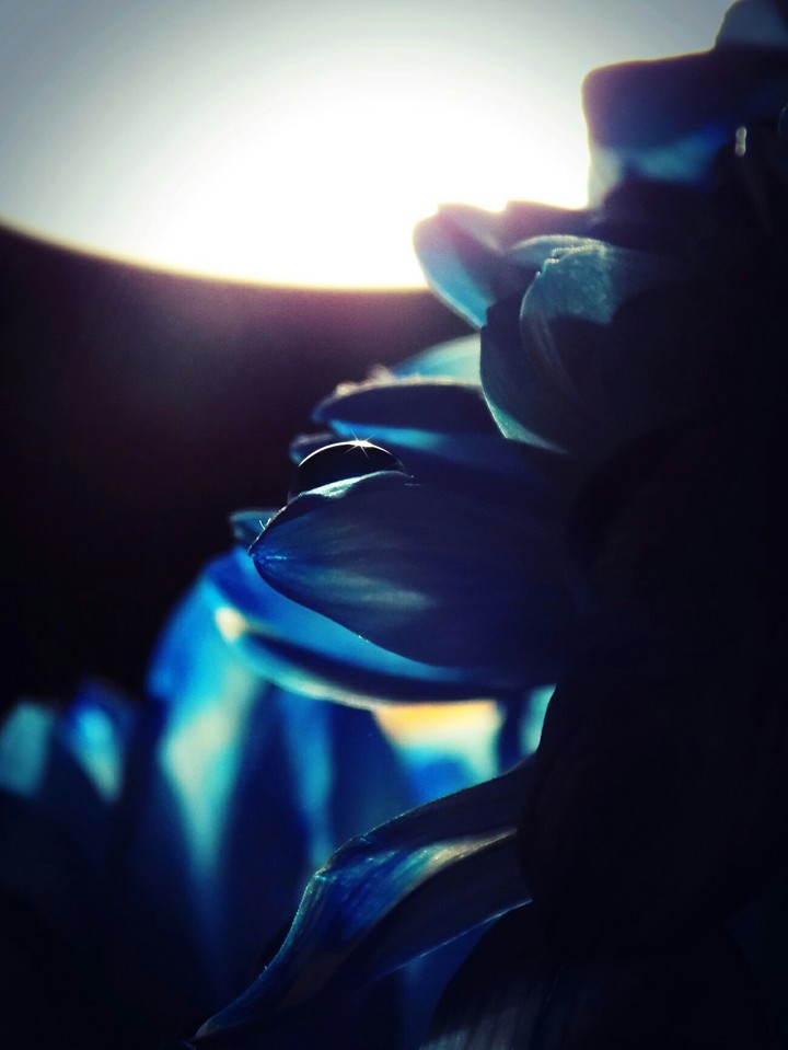 Drop