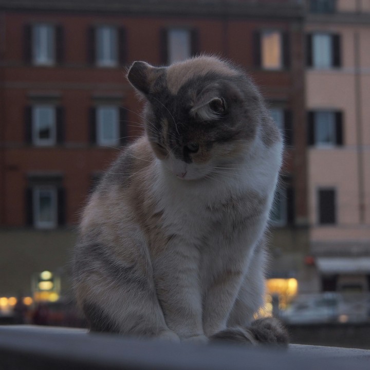 Rome