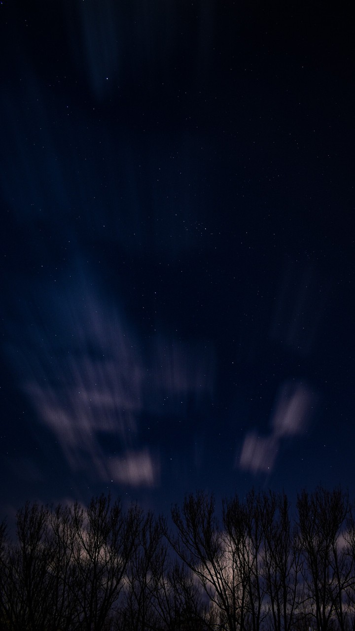 stars