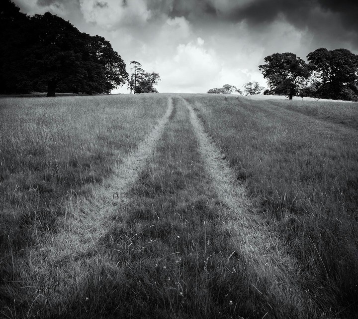 Grey Field