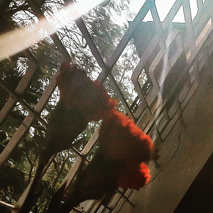 fl my ig: tranbinh_41