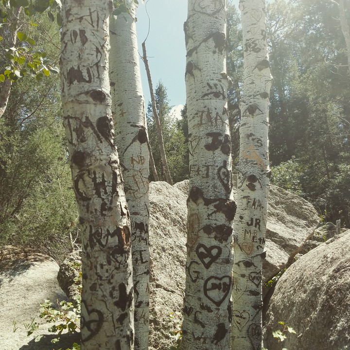 love grows