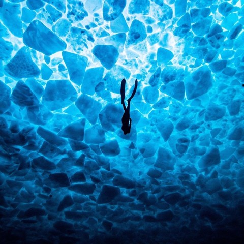 Freediving