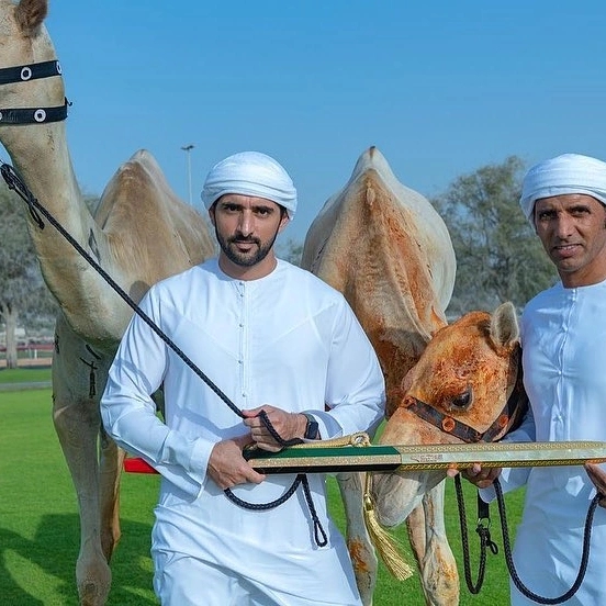 I love horses and you?