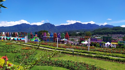 Wonderland