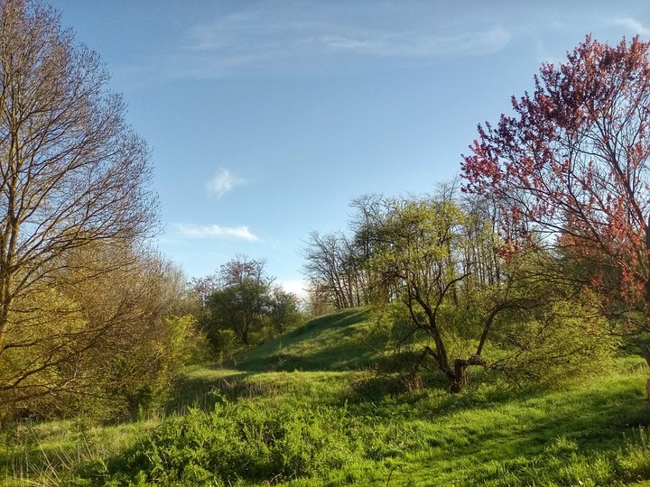 nature mountain