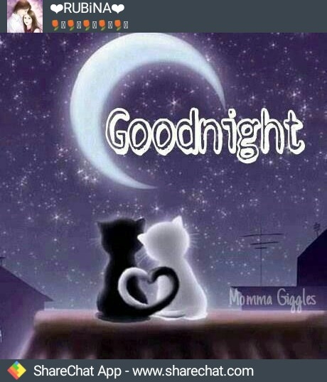 good night