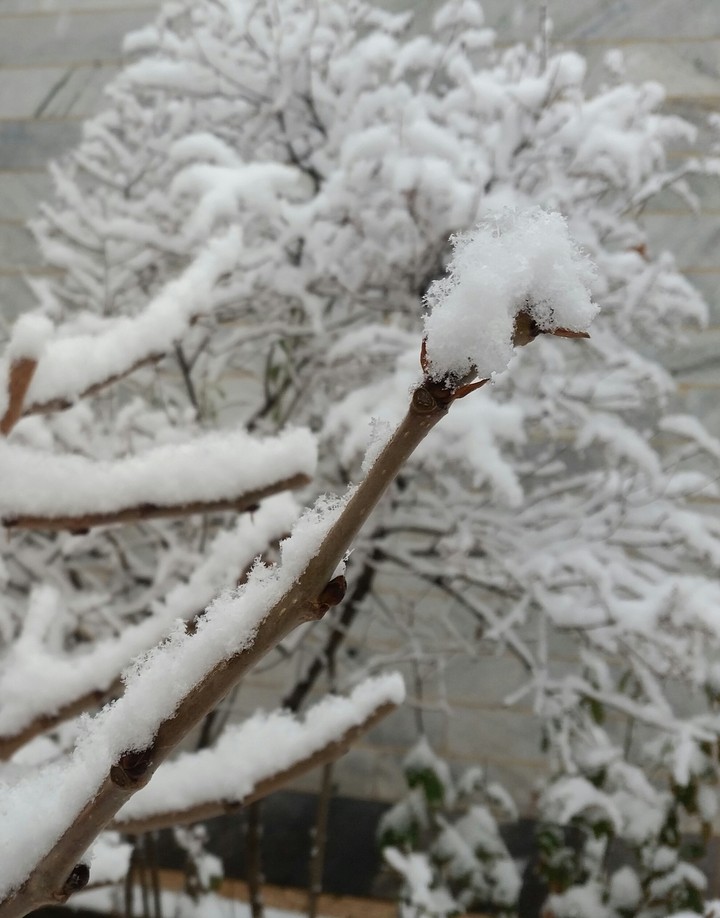 SNOW