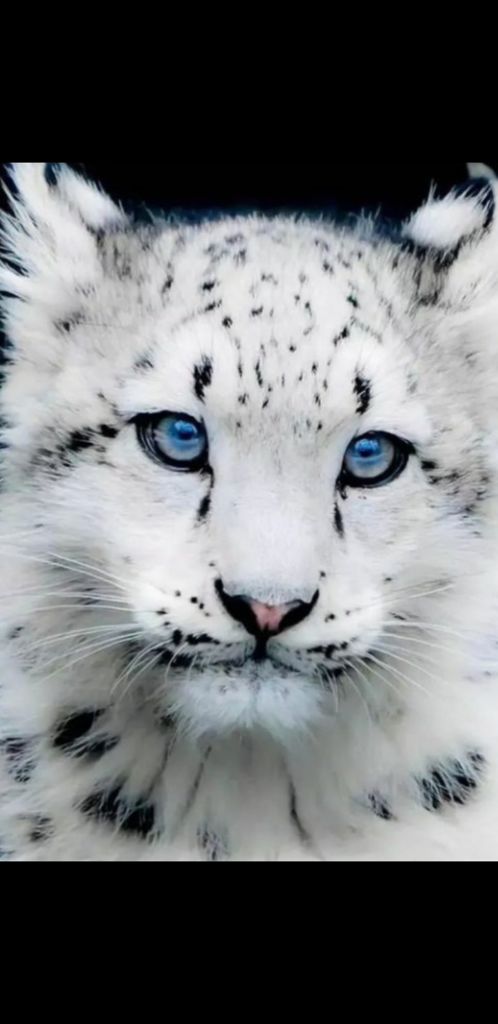 ❤