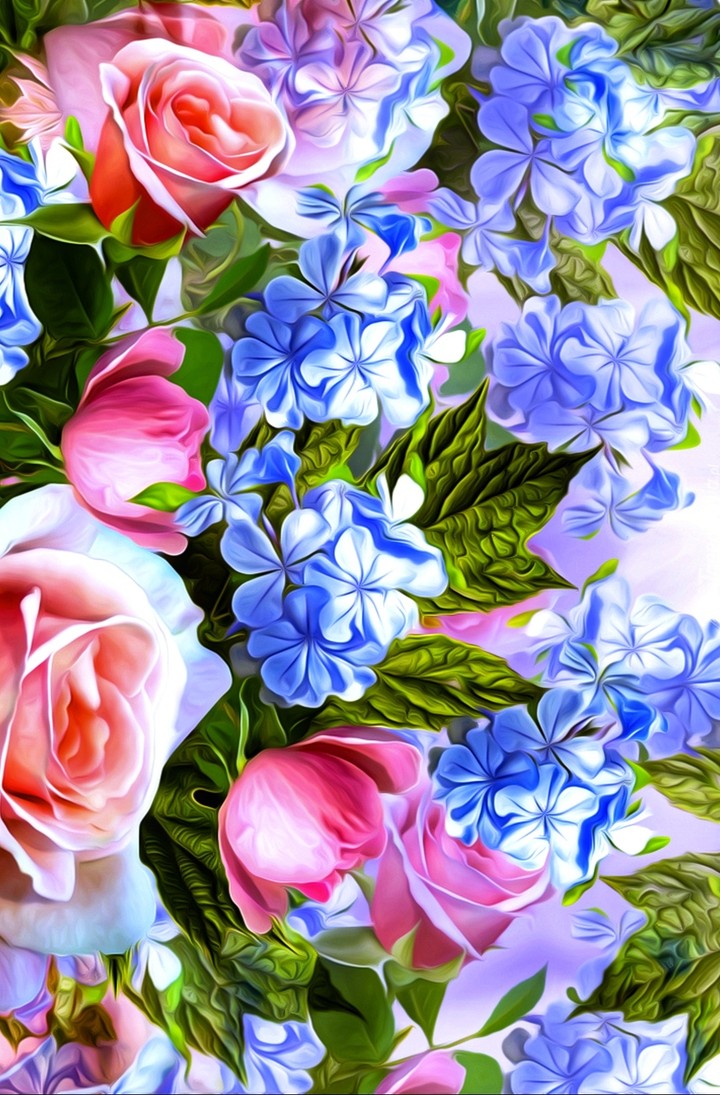 hydrangea