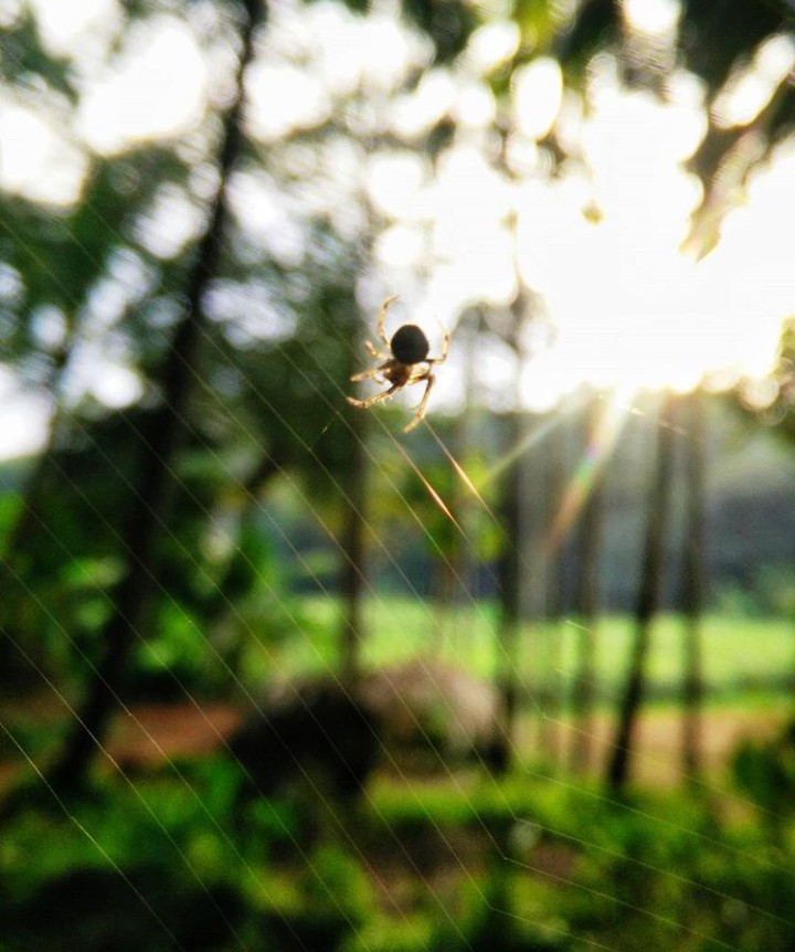 morning clicks...
