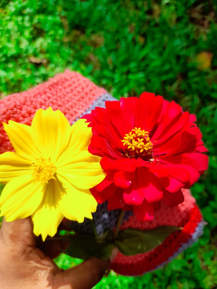 Flowers