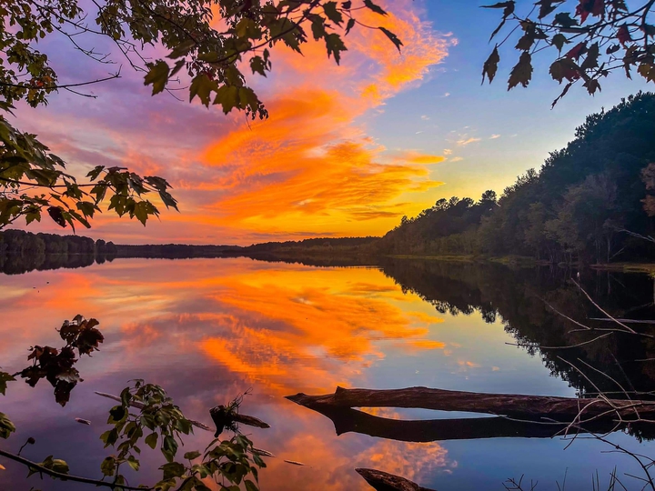 A Flaming Night Sky