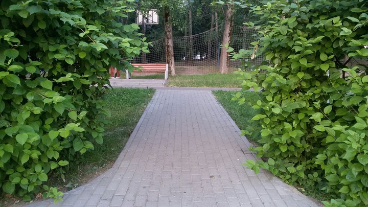 дорога