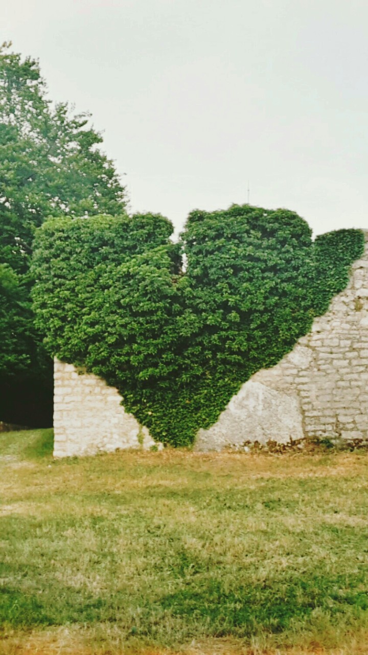 heart