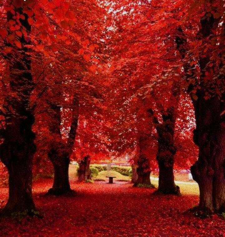 red