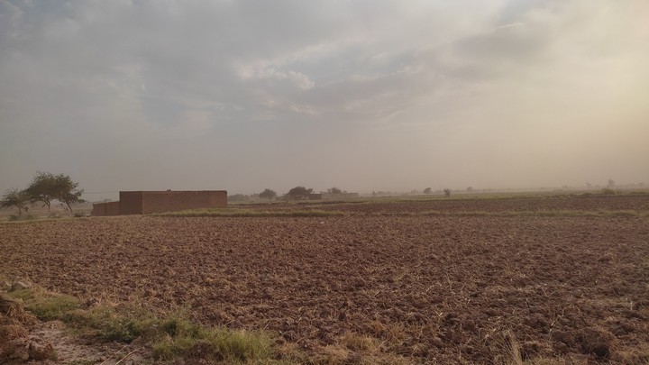 Village Life, Bright and Sunny Day, Agriculture