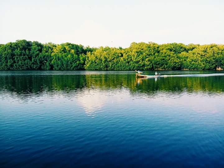 Estero