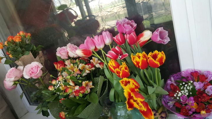 Красивые цветы. Beautiful flowers