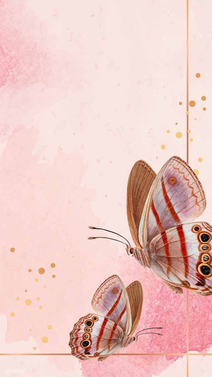 Butterflies