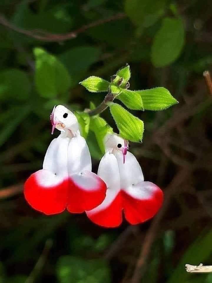 ❤
