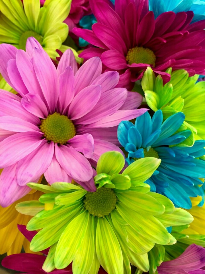 colors
