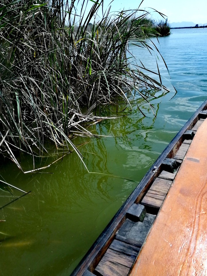 # lake