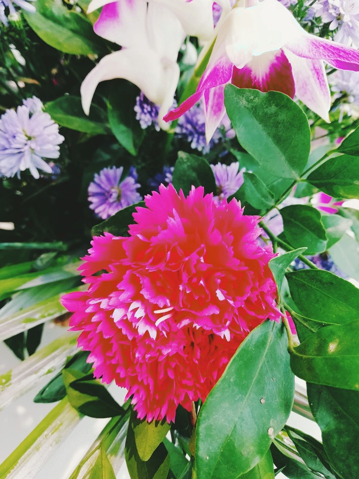 colors