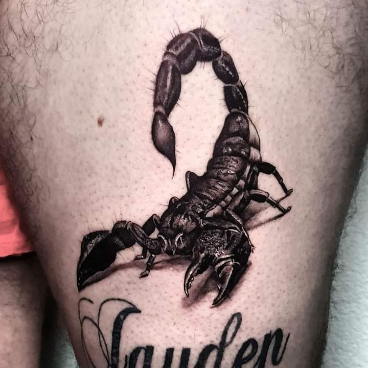 Scorpion