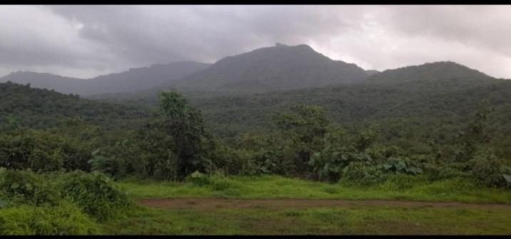 Vally