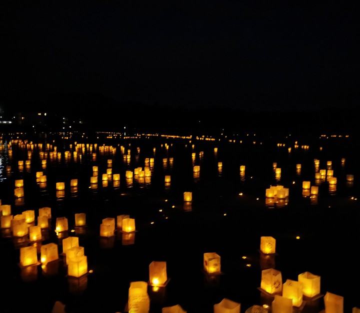 Lights of life
