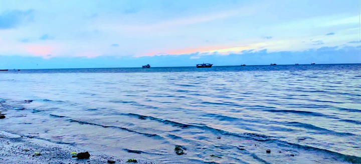 Ocean