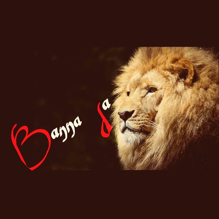 Rajputana