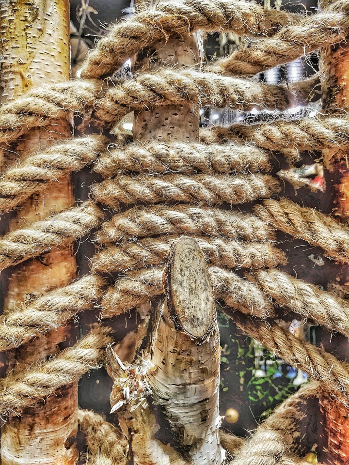 Ropes and wood