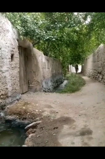 ✴ Taft # Yazd # Iran ❤❤❤