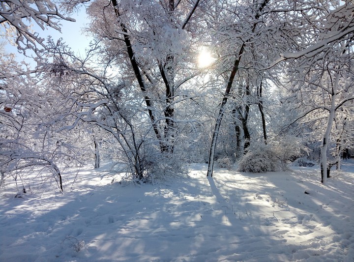 winter