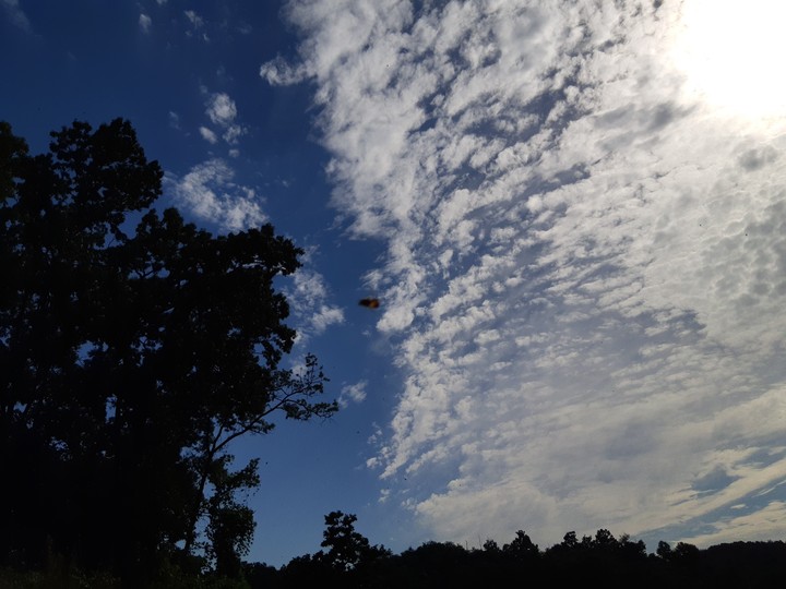 Sky