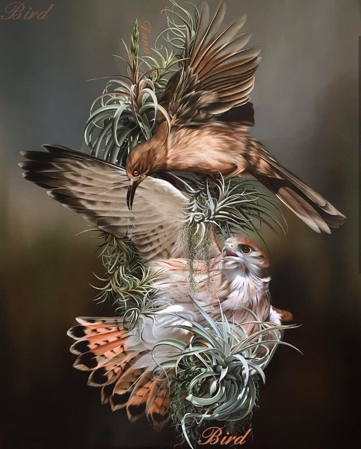 Kestrel