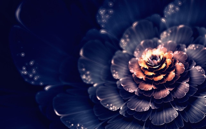 Leo Sun Flower