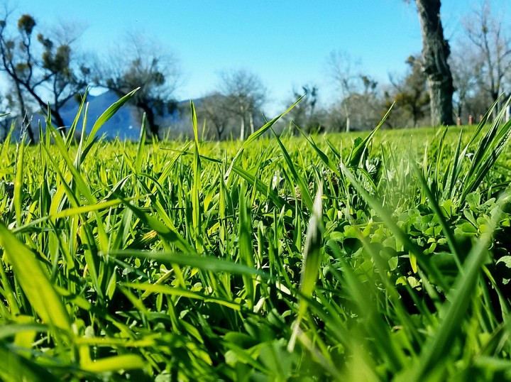 day at the park