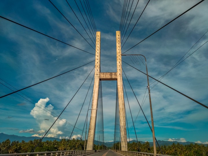 the bridge