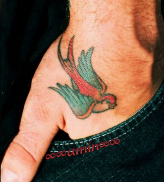 The bird
