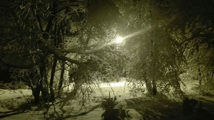 winter