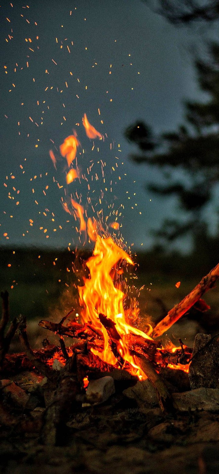 wild fire