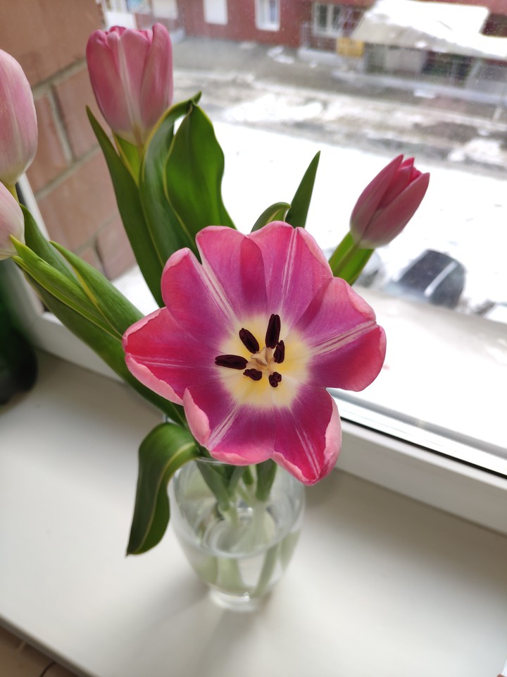 flowers